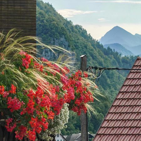 Apartma Bela Bohinjska Bela Dış mekan fotoğraf