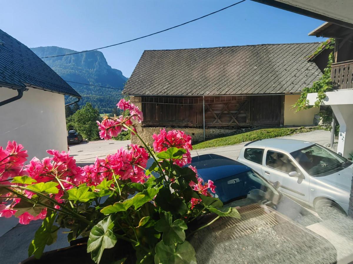 Apartma Bela Bohinjska Bela Dış mekan fotoğraf