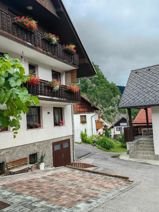 Apartma Bela Bohinjska Bela Dış mekan fotoğraf