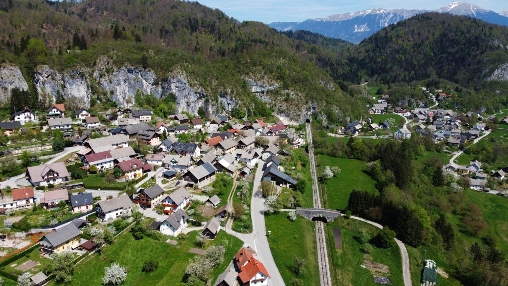 Apartma Bela Bohinjska Bela Dış mekan fotoğraf